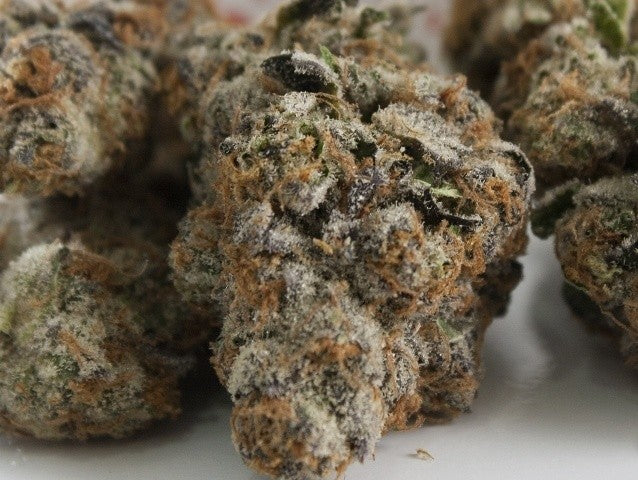 Platinum Cookies Hybrid - Greenhouse Cannabis 10g | Dis-can Johannesburg - image 3