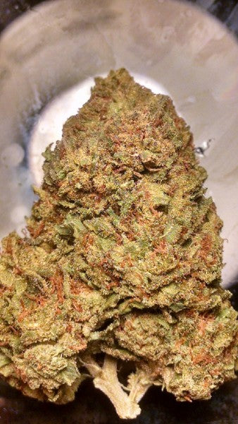 Platinum Cookies Hybrid - Greenhouse Cannabis 10g | Dis-can Johannesburg - image 10