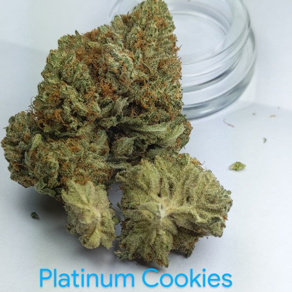 Platinum Cookies Hybrid - Greenhouse Cannabis 10g | Dis-can Johannesburg - image 11