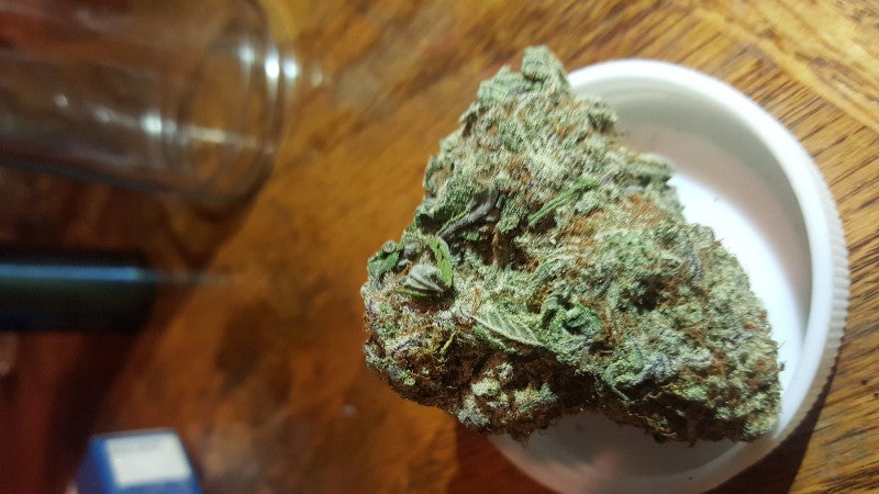 Platinum Cookies Hybrid - Greenhouse Cannabis 10g | Dis-can Johannesburg - image 13