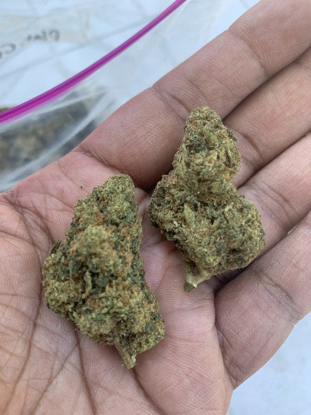 Platinum Cookies Hybrid - Greenhouse Cannabis 10g | Dis-can Johannesburg - image 14