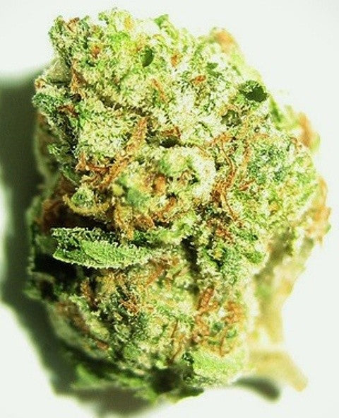 Popcorn Kush Hybrid - Popcorn Buds Cannabis 3g | Dis-can Johannesburg - image 3