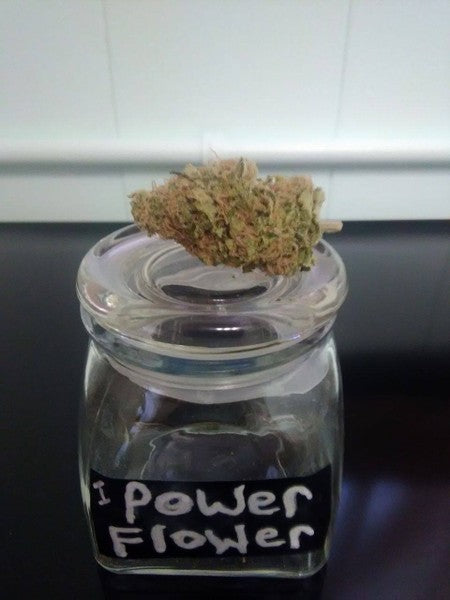 Power Flower Hybrid - Popcorn Buds Cannabis 3g | Dis-can Johannesburg - image 1