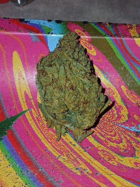 Purple Gas Hybrid - Indoor AAA Cannabis 20g | Dis-can Johannesburg - image 1