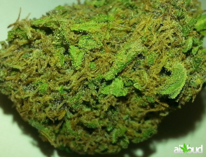 Purple Haze OCD Indica - Indoor AAA Cannabis 20g | Johannesburg | Dis-can - image 23