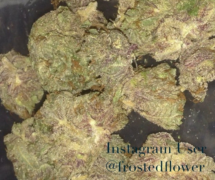Purple Haze OCB Indica - Indoor AAA Cannabis 5g | Johannesburg | Dis-can - image 1