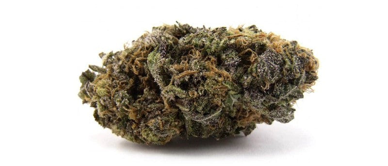 Purple Haze OCB Indica - Indoor AAA Cannabis 5g | Johannesburg | Dis-can - image 2