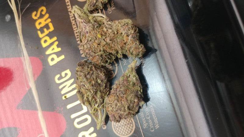 Purple Haze OCB Indica - Indoor AAA Cannabis 5g | Johannesburg | Dis-can - image 3