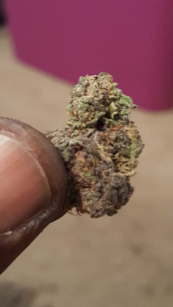 Purple Haze OCB Indica - Indoor AAA Cannabis 5g | Johannesburg | Dis-can - image 4