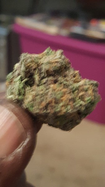 Purple Haze OCB Indica - Indoor AAA Cannabis 5g | Johannesburg | Dis-can - image 5