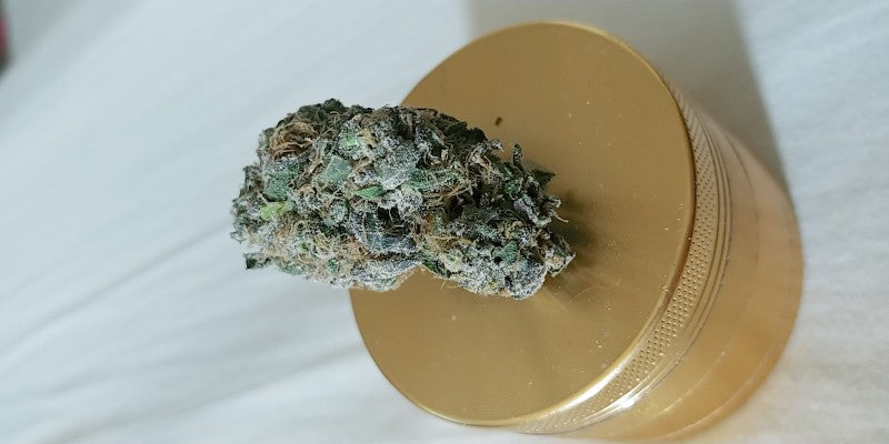 Purple Haze OCB Indica - Indoor AAA Cannabis 5g | Johannesburg | Dis-can - image 7