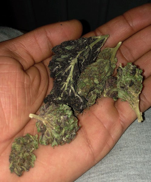 Purple Haze OCB Indica - Indoor AAA Cannabis 5g | Johannesburg | Dis-can - image 8