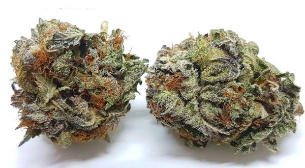 Purple Haze OCB Indica - Indoor AAA Cannabis 5g | Johannesburg | Dis-can - image 16