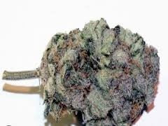 Purple Haze OCB Indica - Indoor AAA Cannabis 5g | Johannesburg | Dis-can - image 17