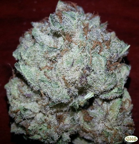 Purple Kush Indica - Indoor AAA Cannabis 5g | Johannesburg | Dis-can - image 1