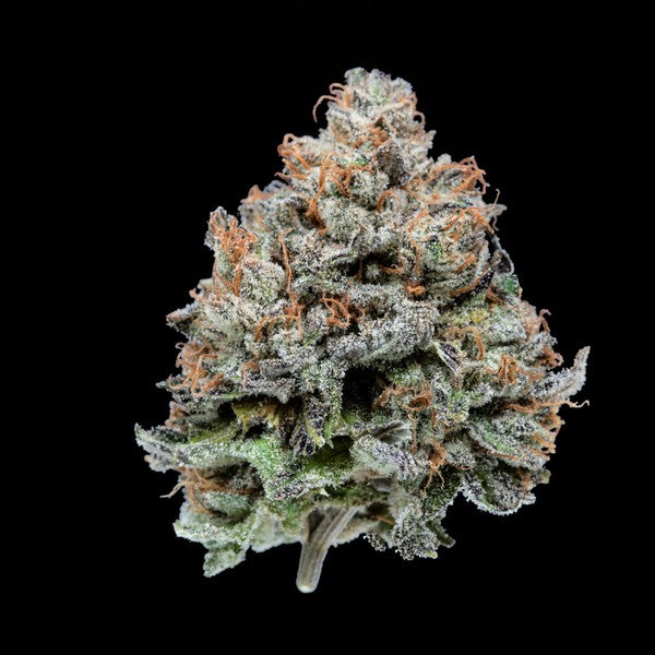 Purple Kush Indica - Indoor AAA Cannabis 5g | Johannesburg | Dis-can