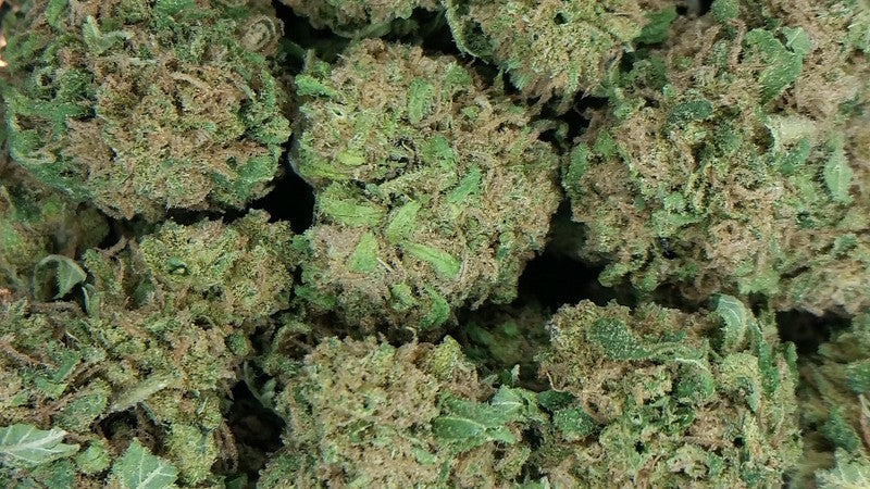 Purple Kush Indica - Indoor AAA Cannabis 5g | Johannesburg | Dis-can - image 6