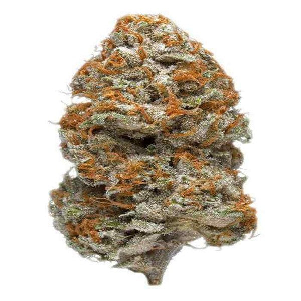 Purple Kush Indica - Indoor AAA Cannabis 5g | Johannesburg | Dis-can - image 14