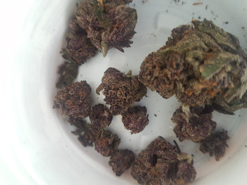 Purple Kush Indica - Indoor AAA Cannabis 5g | Johannesburg | Dis-can