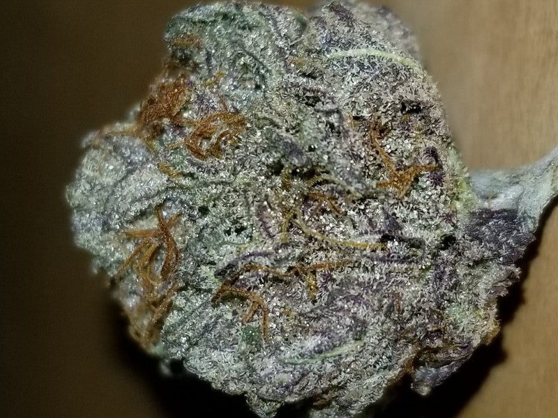 Purple Kush Indica - Indoor AAA Cannabis 5g | Johannesburg | Dis-can - image 17