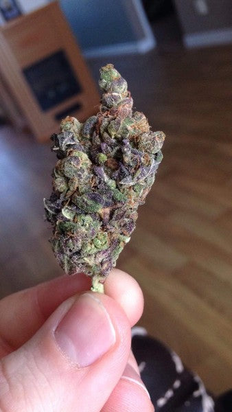 Purple Kush Indica - Indoor AAA Cannabis 5g | Johannesburg | Dis-can - image 19