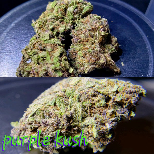 Purple Kush Indica - Indoor AAA Cannabis 5g | Johannesburg | Dis-can