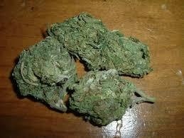 Purple Kush Indica - Indoor AAA Cannabis 5g | Johannesburg | Dis-can - image 31