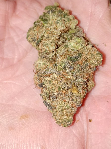 Rock Candy Hybrid - Indoor Premium Cannabis 3g | Dis-can Johannesburg - image 3