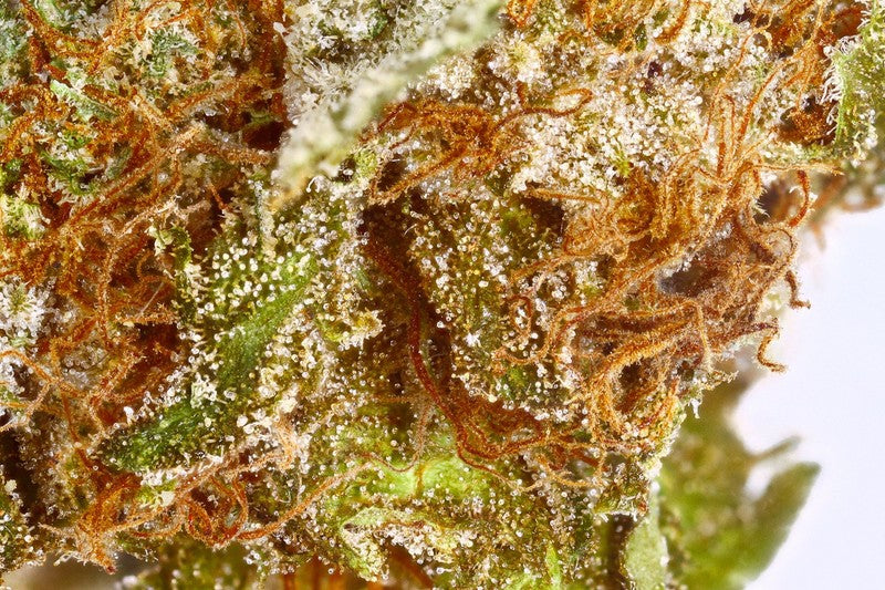 Rock Candy Hybrid - Indoor Premium Cannabis 3g | Dis-can Johannesburg - image 6