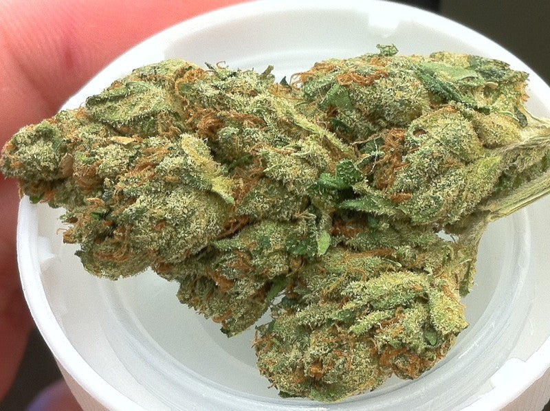 Royal Highness Hybrid - Tunnel Cannabis 1g | Dis-can Johannesburg - image 1
