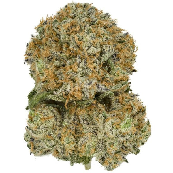 Sherbert Supreme Hybrid - Tunnel Cannabis 1g | Dis-can Johannesburg - image 1