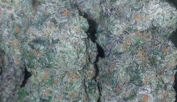 Sherbert Supreme Hybrid - Tunnel Cannabis 1g | Dis-can Johannesburg - image 2
