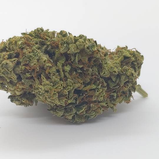 Sherbert Supreme Hybrid - Tunnel Cannabis 1g | Dis-can Johannesburg - image 3