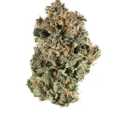 Sherbert Supreme Hybrid - Tunnel Cannabis 1g | Dis-can Johannesburg - image 5