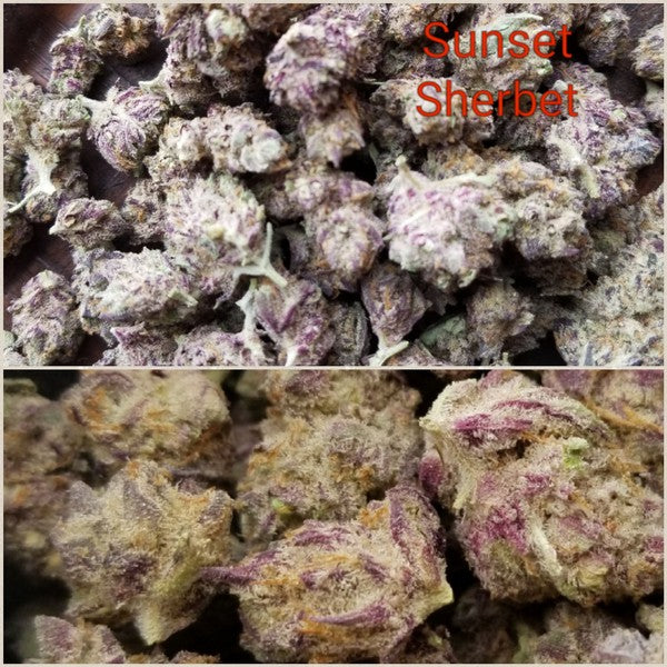 Sherbert Supreme Hybrid - Tunnel Cannabis 1g | Dis-can Johannesburg - image 7