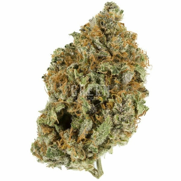 Sherbert Supreme Hybrid - Tunnel Cannabis 1g | Dis-can Johannesburg - image 10