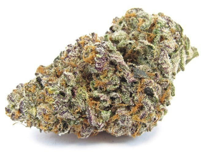 Sherbert Supreme Hybrid - Tunnel Cannabis 1g | Dis-can Johannesburg - image 11