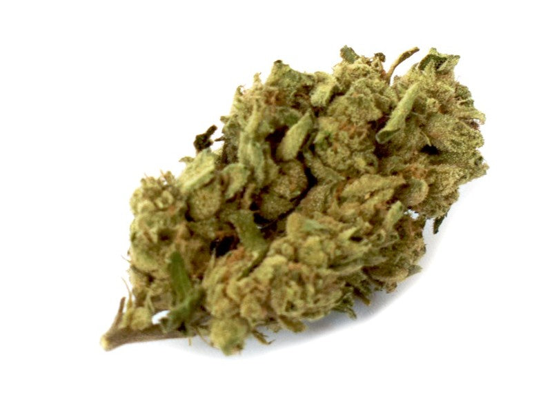 Sherbert Supreme Hybrid - Tunnel Cannabis 1g | Dis-can Johannesburg - image 14