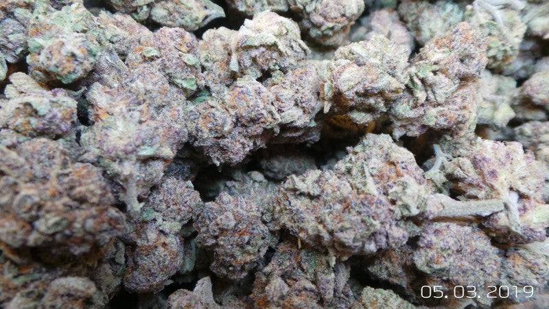 Sherbetghan OG Hybrid - Indoor AAA Cannabis 1g | Dis-can Johannesburg - image 3