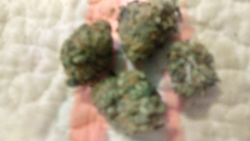 Sherbetghan OG Hybrid - Indoor AAA Cannabis 1g | Dis-can Johannesburg - image 4