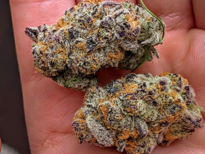 Sherbetghan OG Hybrid - Indoor AAA Cannabis 1g | Dis-can Johannesburg - image 14