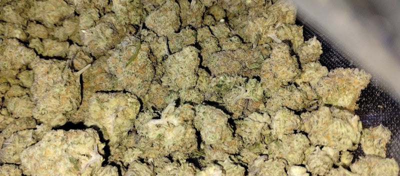 Sherbetghan OG Hybrid - Indoor AAA Cannabis 1g | Dis-can Johannesburg - image 17