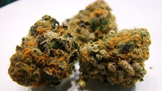 Sherbetghan OG Hybrid - Indoor AAA Cannabis 1g | Dis-can Johannesburg - image 18