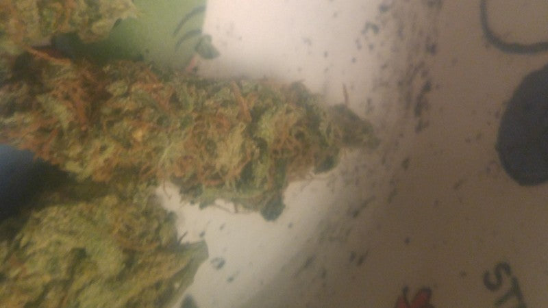 Skittles Hybrid - Indoor AAA Cannabis 20g | Dis-can Johannesburg - image 3