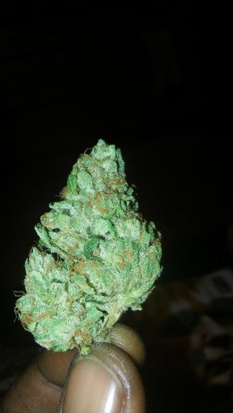 Skittles Hybrid - Indoor AAA Cannabis 20g | Dis-can Johannesburg - image 4