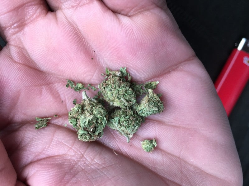 Skittles Hybrid - Indoor AAA Cannabis 20g | Dis-can Johannesburg - image 6
