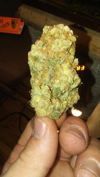 Skittles Hybrid - Indoor AAA Cannabis 20g | Dis-can Johannesburg - image 7