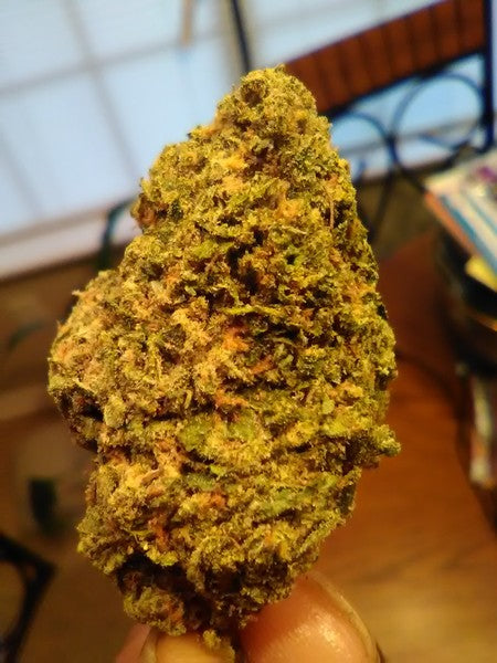 Skittles Hybrid - Indoor AAA Cannabis 20g | Dis-can Johannesburg - image 12