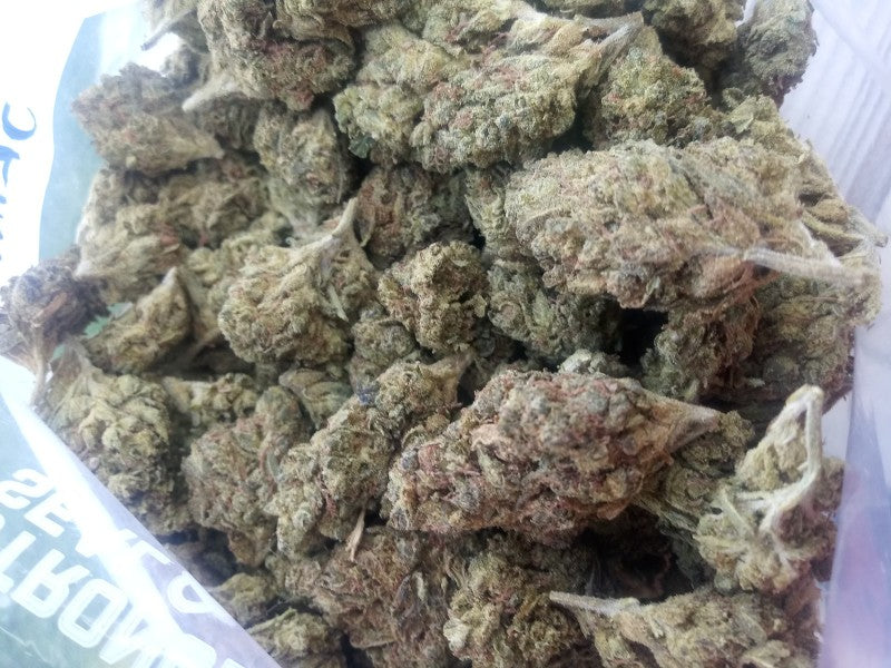 Skittles Hybrid - Indoor AAA Cannabis 20g | Dis-can Johannesburg - image 14