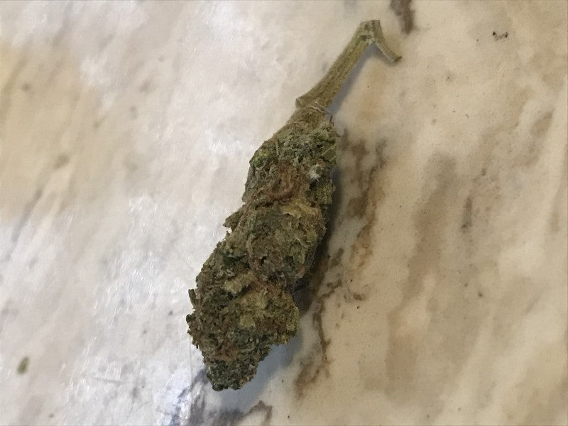 Skittles Hybrid - Indoor AAA Cannabis 20g | Dis-can Johannesburg - image 15
